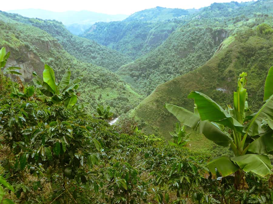 Private Jeep Tour to the Surroundings of San Agustín - Key things that make this San Agustín Jeep tour worth your time