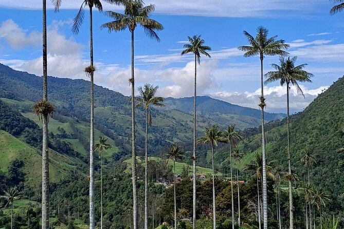 Private Tour Charm of Cocora Valley Salento and Philandia - Timing, Pace, and How Long You Really Need