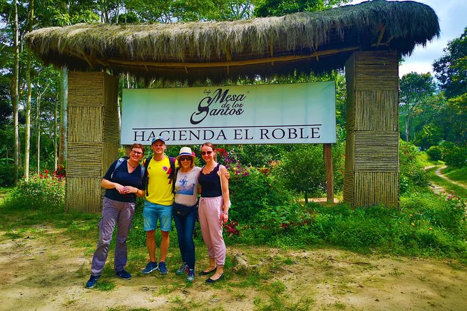 Private Tour - Coffee Tour (Cultivations) - English-speaking guide, private format, and who this fits best