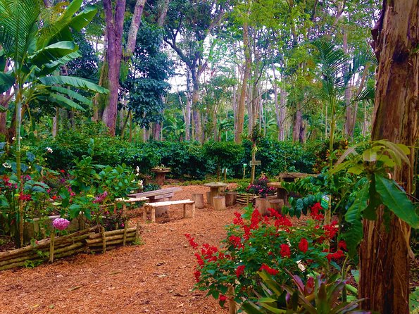Private Tour - Coffee Tour (Cultivations) - Price and value: is $119 per person fair?