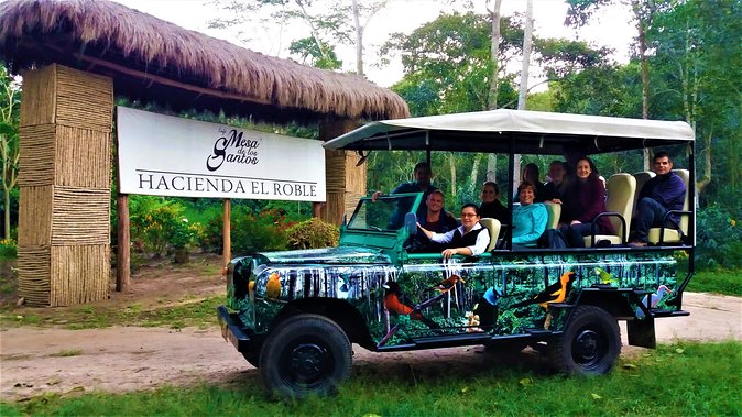 Private Tour - Coffee Tour (Cultivations) - A Morning Start at 8:30: Pickup and your own private pace