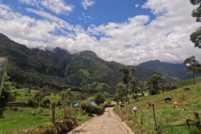 Private tour: La Chorrera highest waterfall in Colombia - Tickets, Timing, and How the 6-Hour Plan Fits a Travel Day