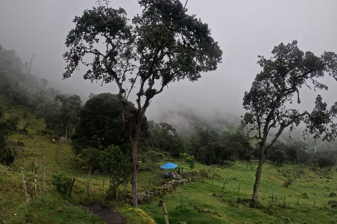 Private tour: La Chorrera highest waterfall in Colombia - Price and Value: When $145 Makes Sense for a Private Hike
