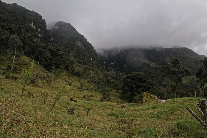Private tour: La Chorrera highest waterfall in Colombia - 7:30 Am Pickup From Bogotá, and Why It Matters