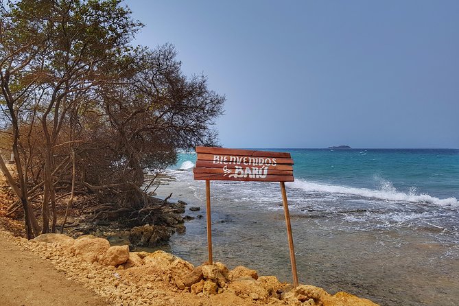 Private Tour of Ecotourism, Culture and Sea in Barú - Private Tour Setup: What You Gain When It’s Just Your Group