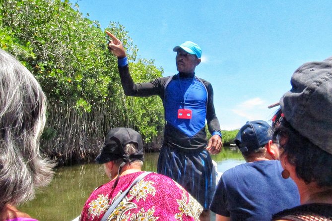Private Tour of Ecotourism, Culture and Sea in Barú - Ocean Time Options: What’s Included vs. What You Can Add