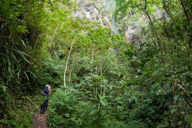 Private Tour through the Chicaque Natural Park and Forest of Fog - From the meeting point to Parque Chicaque, what the drive time sets up
