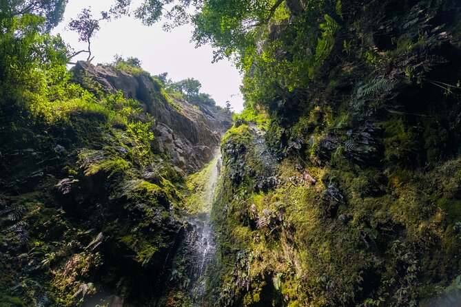 Private Tour through the Chicaque Natural Park and Forest of Fog - Parque Natural Chicaque, your guided cloud-forest walk and wildlife spotting