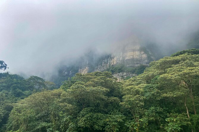 Private Tour through the Chicaque Natural Park and Forest of Fog - 7:00 am pickup from Bogotá, and how you keep the day stress-free
