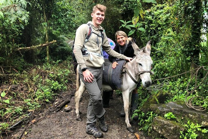 Private Tour to the Nature Waterfall of La Chorrera from Bogotá - Cascada La Chorrera: why the 590-meter drop feels different
