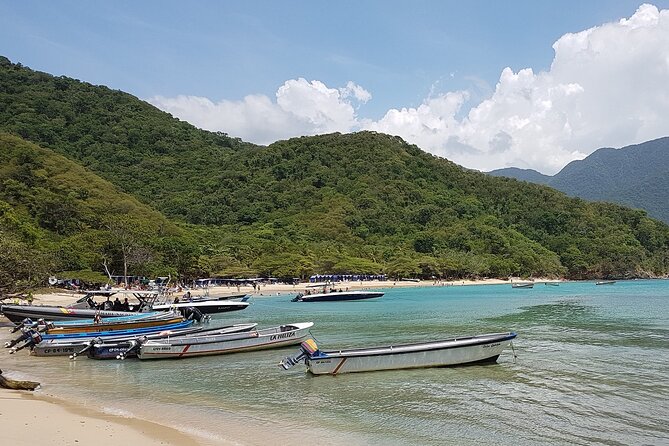 Private transfer from Cartagena to Santa Marta or viceversa - Key highlights to look for