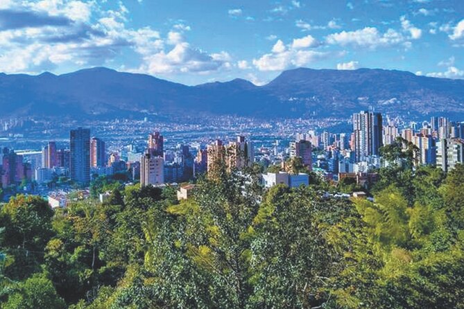 Private transfer service from or to Medellín Airport - Driver communication that actually helps at the airport