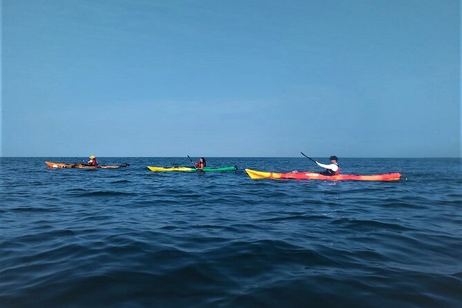 Punta Arena Excursion Kayak - Where you meet, and how quickly you get on the water