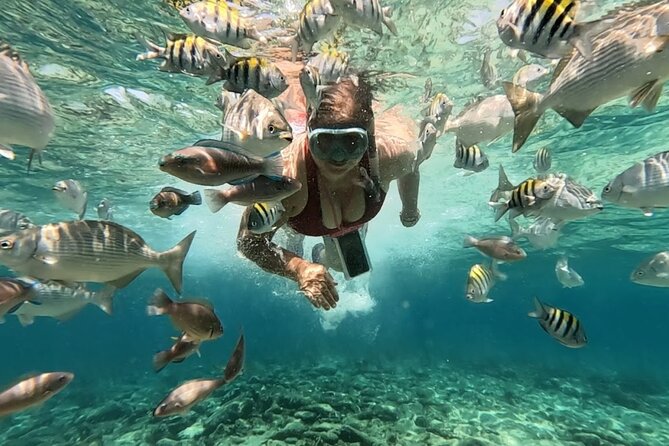 Rosario Islands and Playa Blanca Tour with Snorkeling or Aquarium - Speedboat Crossing in Cartagena Bay, Plus a Bocachica Castles Moment