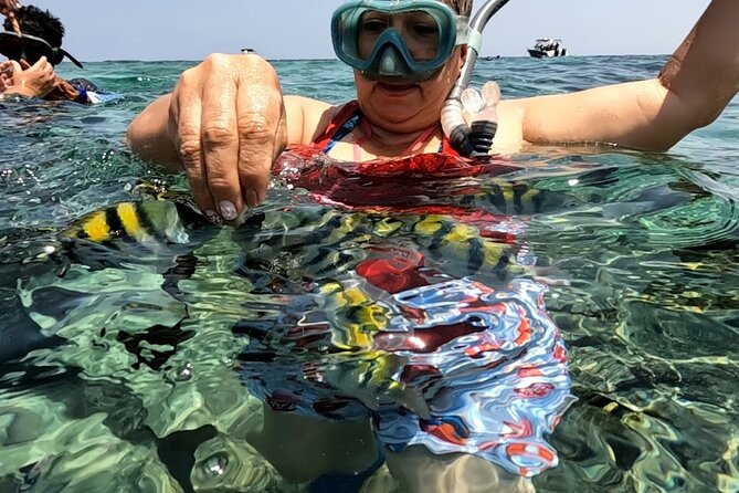 Rosario Islands and Playa Blanca Tour with Snorkeling or Aquarium - Oceanario at San Martin de Pajarales Island: Aquarium vs Snorkeling
