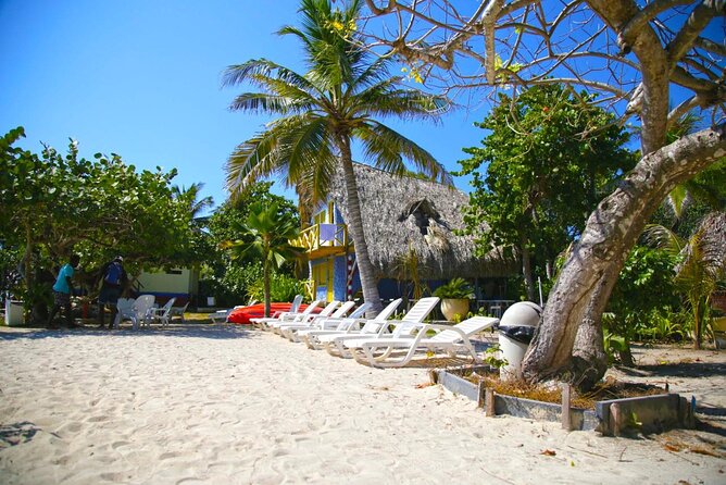 Rosario Islands Day pass | All inclusive Experience - Price and Logistics: What Your $106 Really Covers