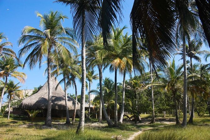 Rosario Islands Private Boat Tour - Key things that make this private boat day worth it
