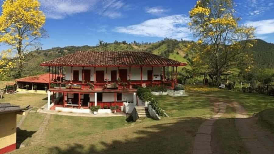 Salento and Cócora Tour + Coffee Farm from Pereira/Armenia - Key things you will notice fast