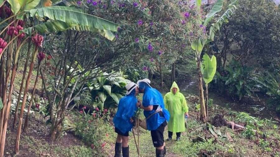 Salento and Cócora Tour + Coffee Farm from Pereira/Armenia - Small planning checklist for a smooth day