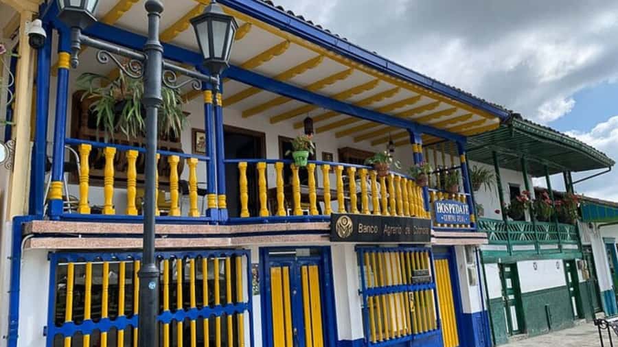 Salento and Cócora Tour + Coffee Farm from Pereira/Armenia - Cocora Valley and the wax palm forest: what you should expect from the walk