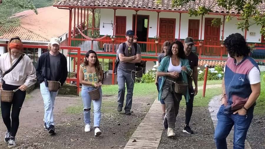 Salento and Cócora Tour + Coffee Farm from Pereira/Armenia - Who should book this Salento and Cocora plus coffee farm tour