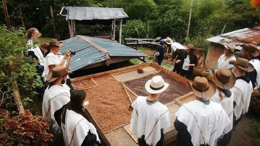 Salento and Cócora Tour + Coffee Farm from Pereira/Armenia - Getting from Pereira or Armenia to Salento without stress