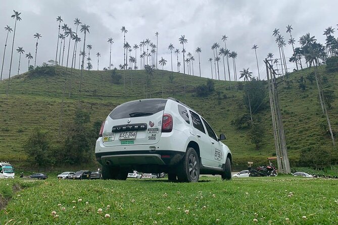 Salento and Cócora Tour plus Coffee Farm from Pereira or Armenia - Valle del Cocora: the 3-hour palm forest walk that steals the show