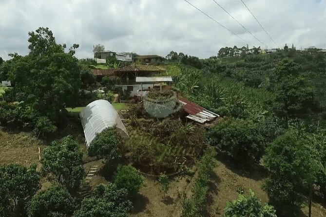 Salento and Cócora Tour plus Coffee Farm from Pereira or Armenia - Pereira or Armenia pickup: the start that sets the tone