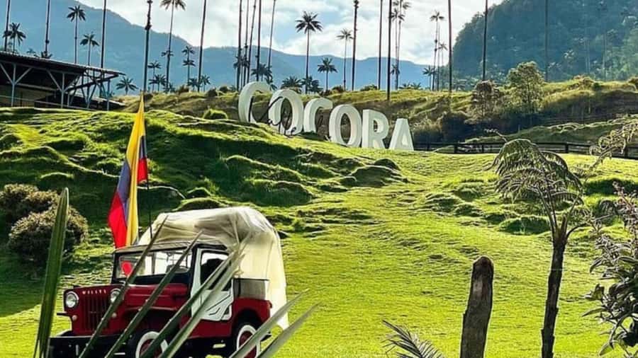 Salento, Cocora and Filandia Full Plan from Pereira/Armenia - Cocora Valley Wax Palms and the Palm-Forest Tickets