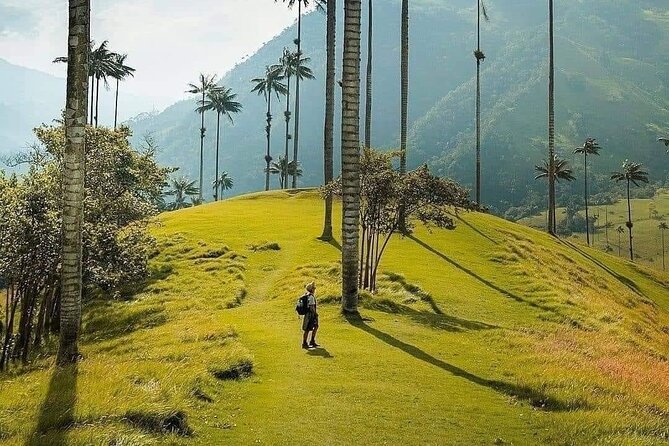 Salento, Cocora and Filandia Private Tour from Pereira or Armenia - Getting picked up in Pereira or Armenia (and why it’s worth it)
