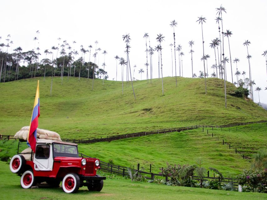 Salento, Cocora and Filandia Tour from Pereira or Armenia - Guides, Drivers, and the Human Touch That Changes Everything
