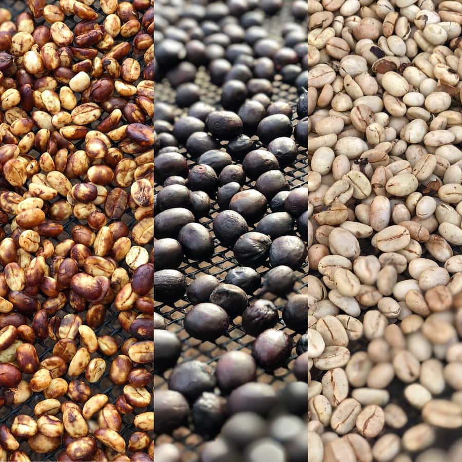 Salento: Coffee Farm Tour with Tasting - Guides and hosts, like Kevin and Marlon, can make or break it