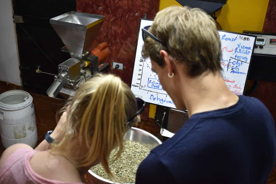 Salento: Coffee Master Roasting, Brewing and Tasting Tour - Key things to look forward to