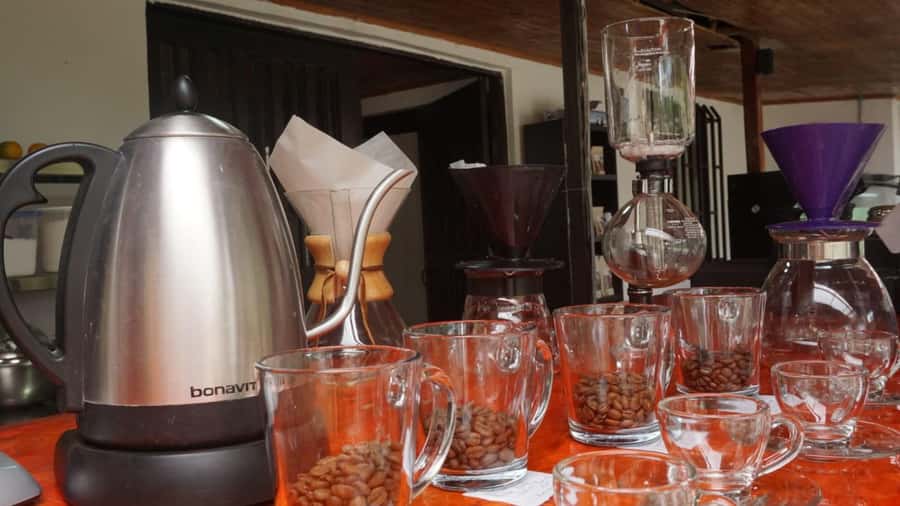 Salento: Coffee Master Roasting, Brewing and Tasting Tour - Tolima coffee roasting, explained in plain terms