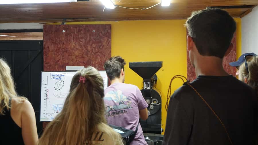 Salento: Coffee Master Roasting, Brewing and Tasting Tour - Brewing workshop with four pour-over makers