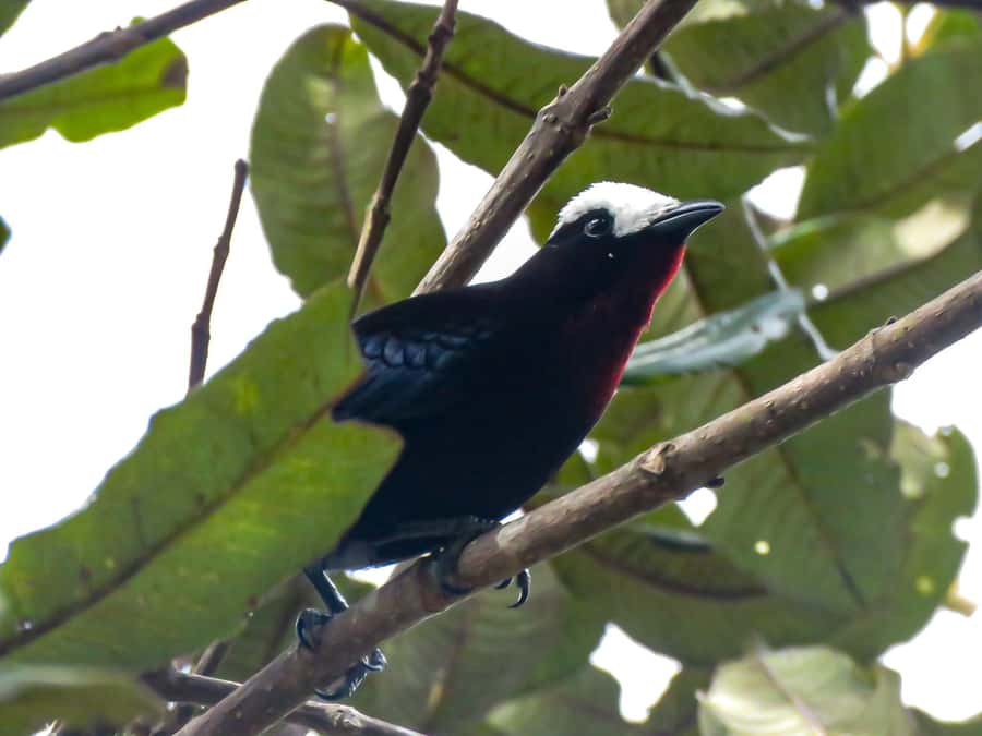 Salento: hike to learn about Birds - Key highlights you’ll care about
