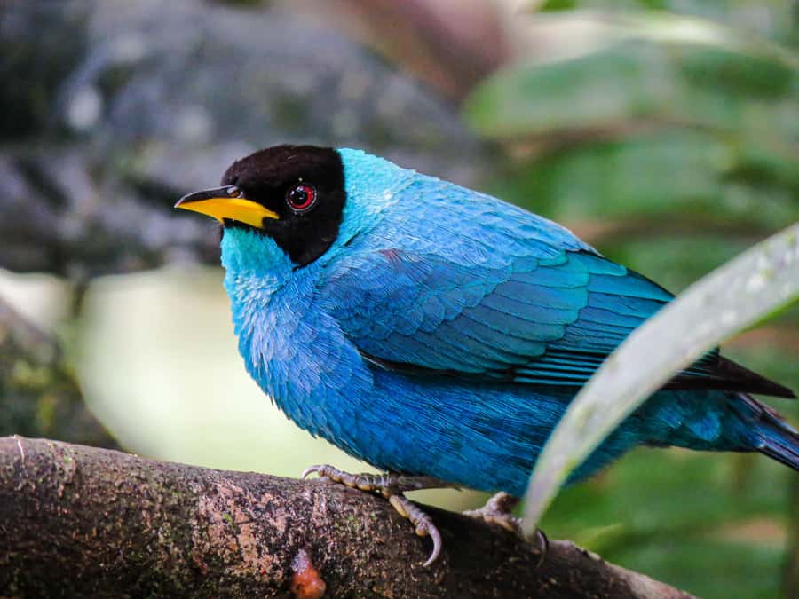 Salento: hike to learn about Birds - What’s Included (and What That Means for Your Packing)