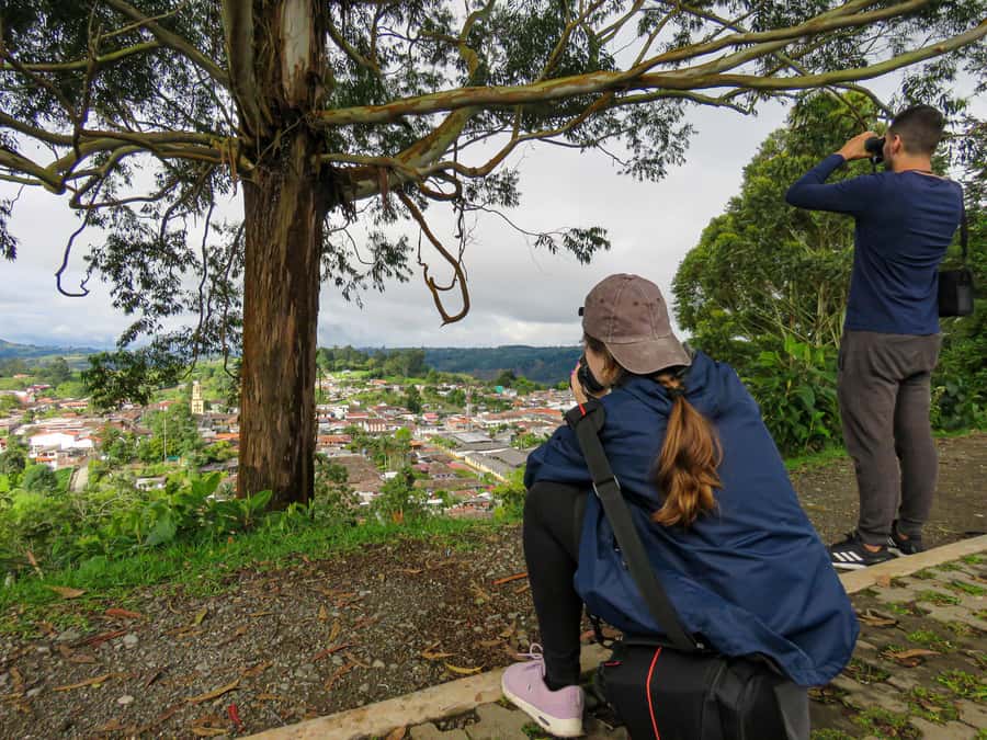 Salento: hike to learn about Birds - Should You Book Salento: Hike to Learn about Birds?