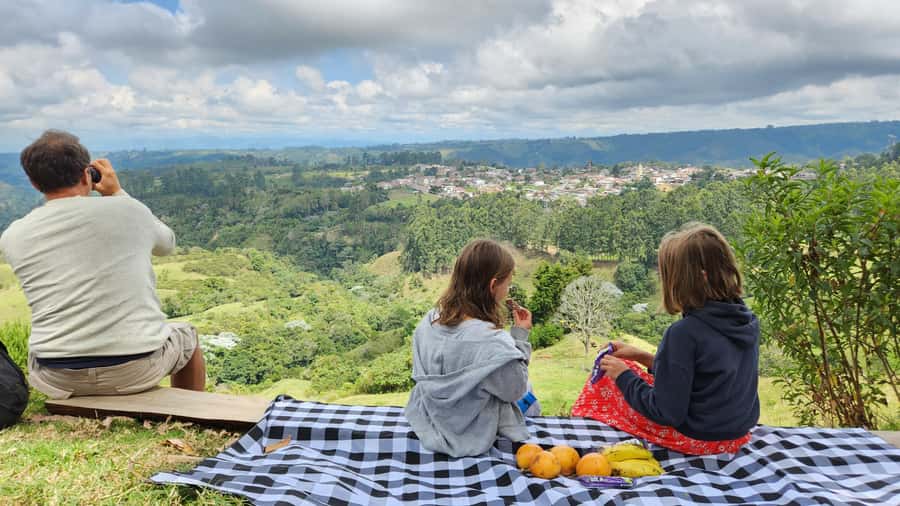 Salento: hike to learn about Birds - Meeting at Brunch de Salento: Getting Oriented Fast