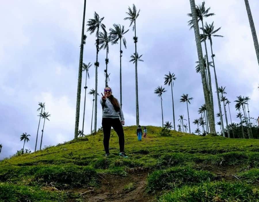 Salento/Pereira: Cocora Valley & Salento Hiking Private Tour - Valle del Cocora and Salento, a half-day that hits the big notes
