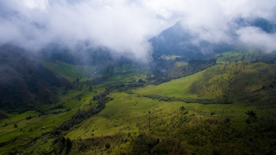 Salento/Pereira: Cocora Valley & Salento Hiking Private Tour - Price and logistics: why $108 can still feel like a good deal