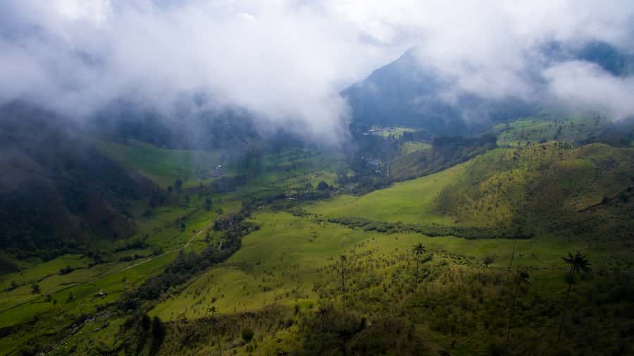 Salento/Pereira: Cocora Valley & Salento Hiking Private Tour - The wax palm hike, from valley entrance to the mirador viewpoints