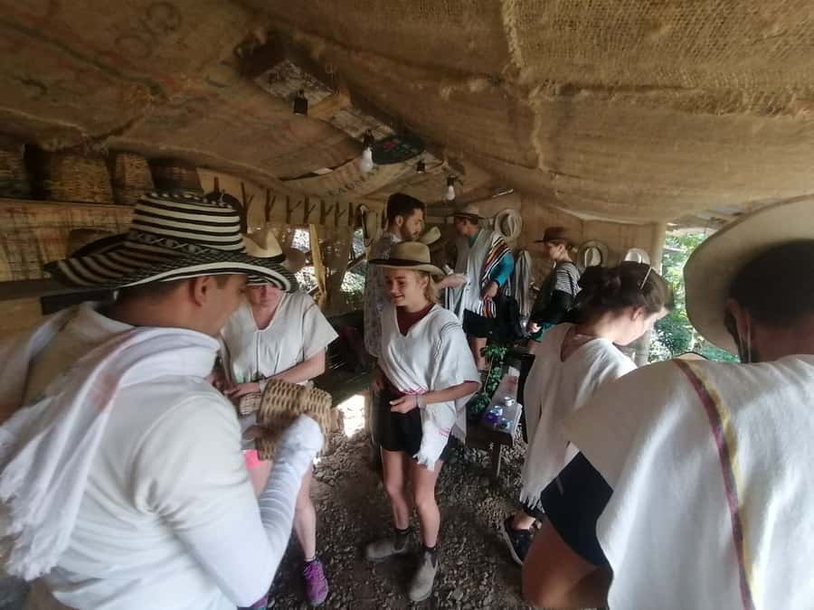 Salento: Private Cocora Valley, Salento & Coffee Farm Tour - Who Will Love This Tour Most