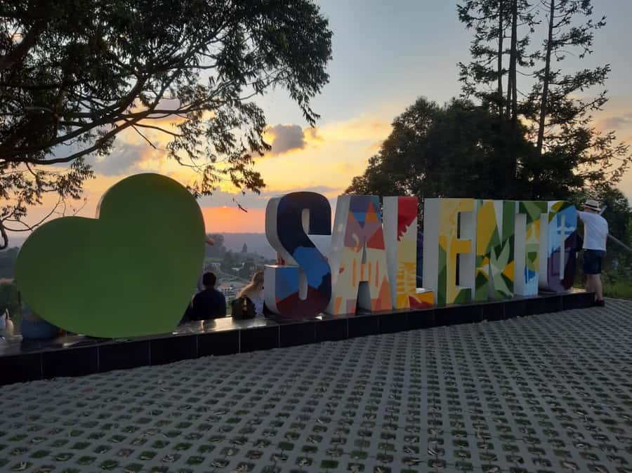 Salento: Private Cocora Valley, Salento & Coffee Farm Tour - Salento To Cocora Valley And Coffee Triangle: Why This Combo Works