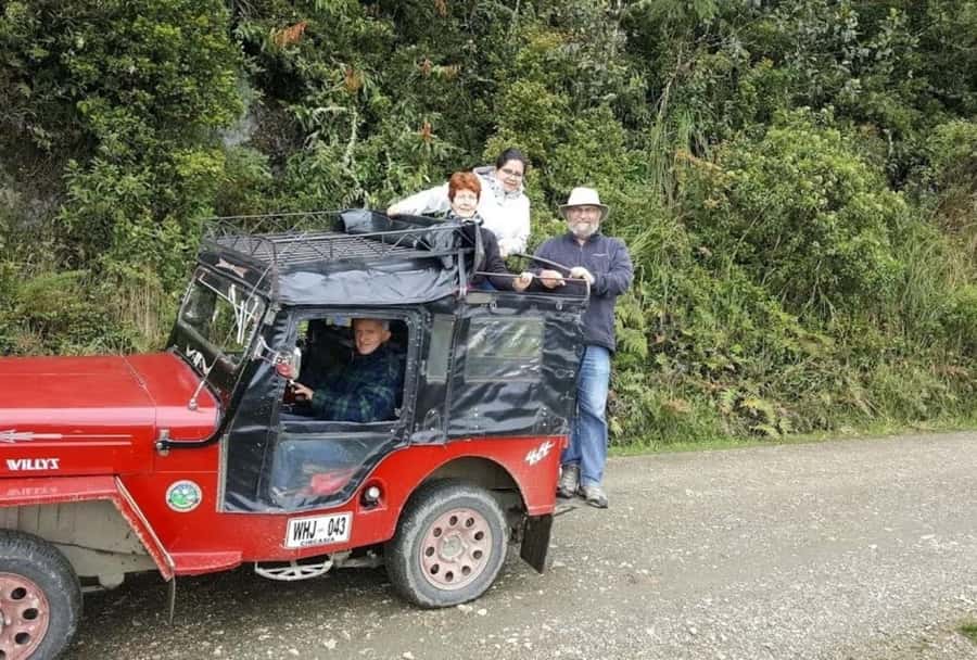Salento: Salento & Cocora Valley Tour - Why Cocora Valley and Salento in One 6 Hour Day Works