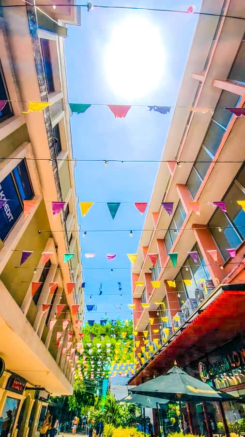 Salida de Cartagena: City Tour a Barranquilla & Santa Marta - Should You Book This Cartagena to Barranquilla and Santa Marta Tour?
