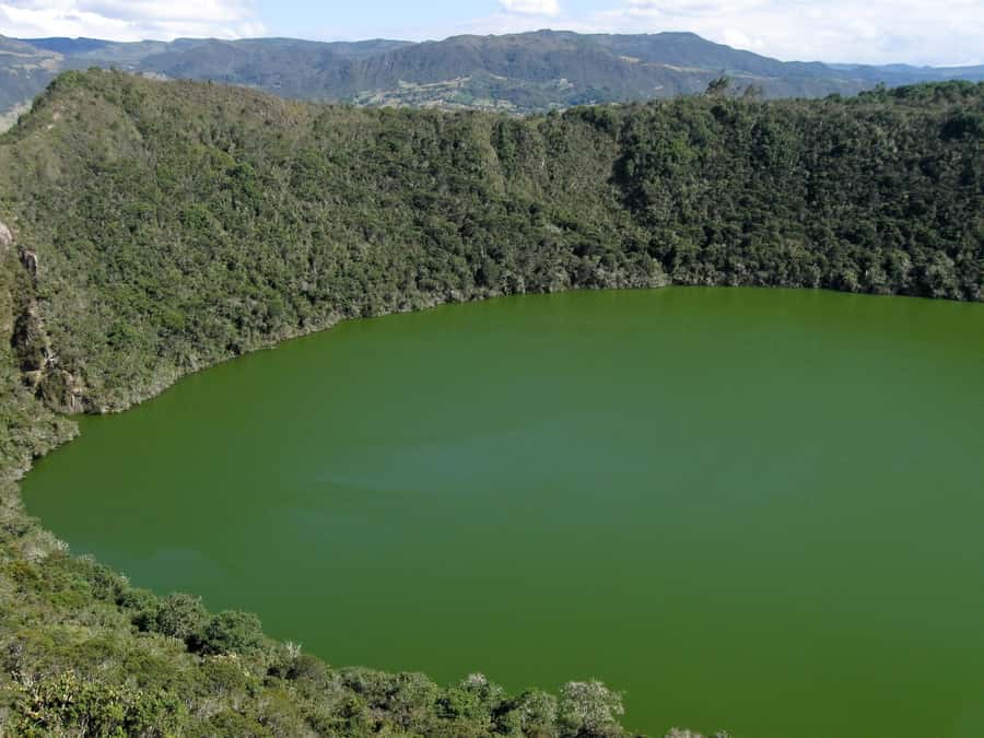 Salt Cathedral and Guatavita Lake with Lunch and Guide - Timing, duration, and what to plan for