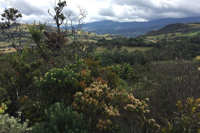 Salt Cathedral Tour along with the Legendary Lake Guatavita - The human factor: organization and guide style matter on this route