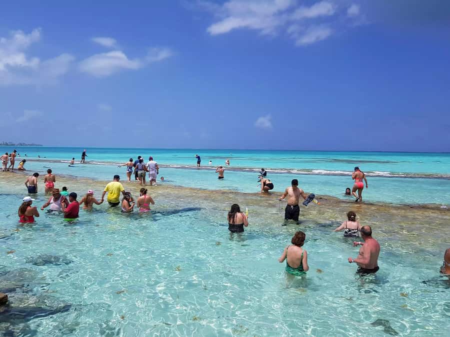 San Andres: Acuario Key Premium Tour - Manta Rays in Season: Watching Their Natural Behavior