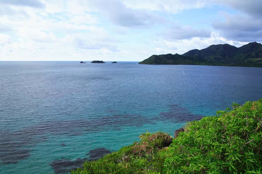 San Andrés: Guided Cays and Mangroves Tour - Key things that make this tour worth your time